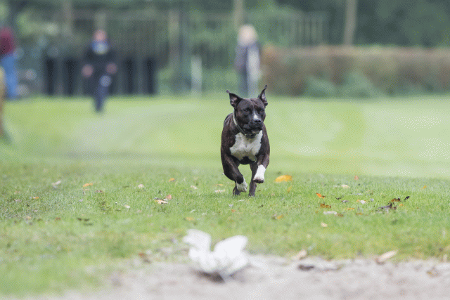 Bo4I7679 30478370511 O