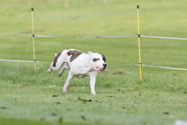 Bo4I7602 30488744861 O