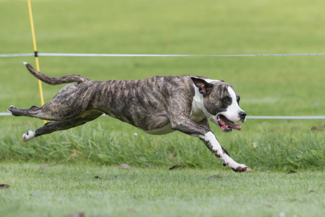 Bo4I7577 30488749421 O