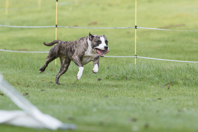 Bo4I7572 30488751381 O