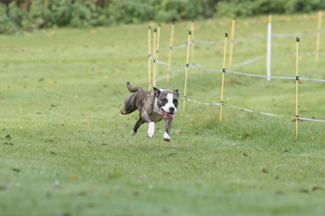 Bo4I7569 30488752471 O