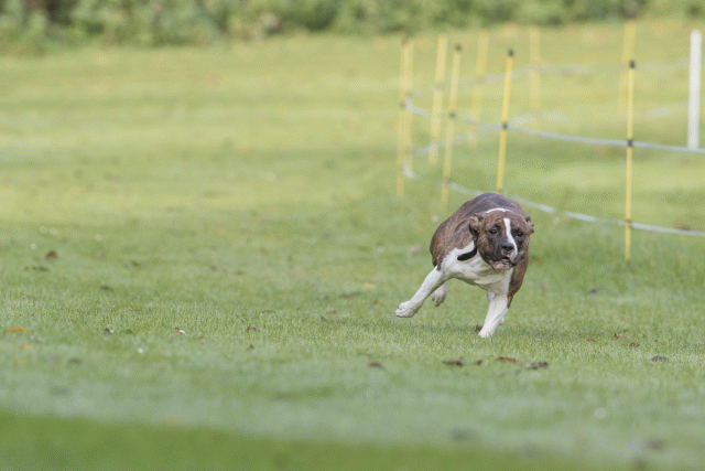 Bo4I7550 30488755041 O