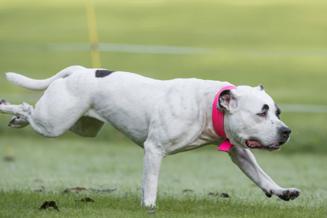 Bo4I7546 30488755641 O