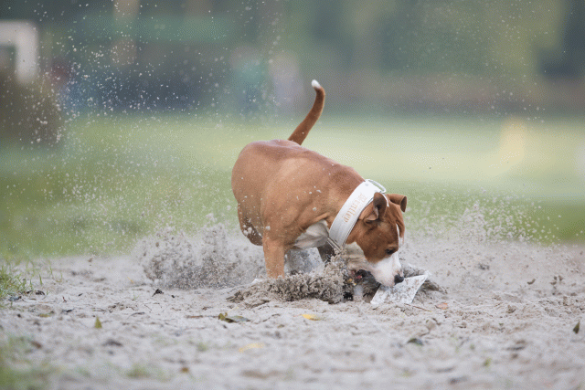 Bo4I7482 30488764191 O