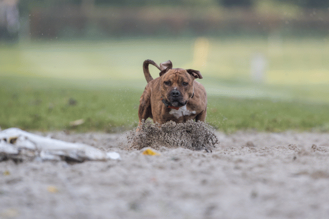 Bo4I7469 30488766361 O