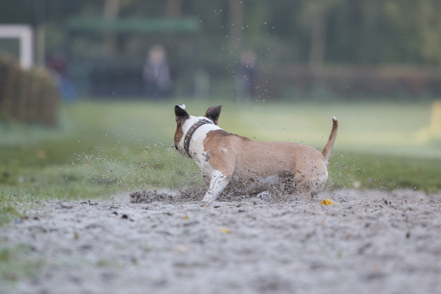 Bo4I7464 30488766841 O