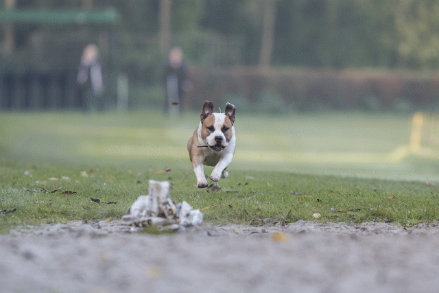 Bo4I7457 30488769551 O