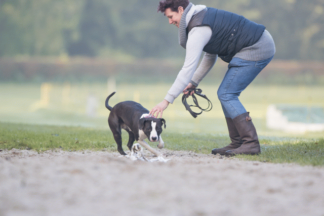 Bo4I7415 30488774441 O