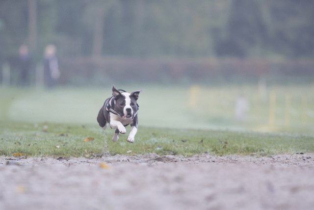 Bo4I7330 30488793621 O