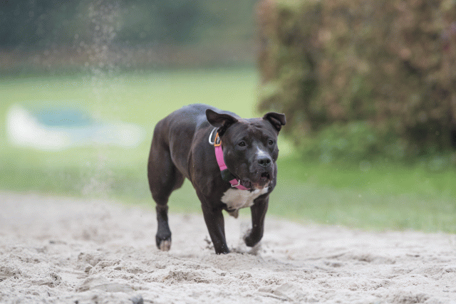 Bo4I7725 30529982266 O