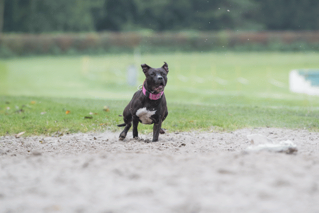 Bo4I7722 30529983356 O