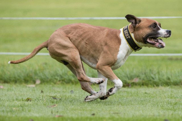 Bo4I7644 30530005756 O