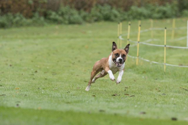 Bo4I7639 30530007116 O