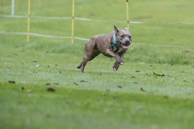 Bo4I7624 30540322816 O