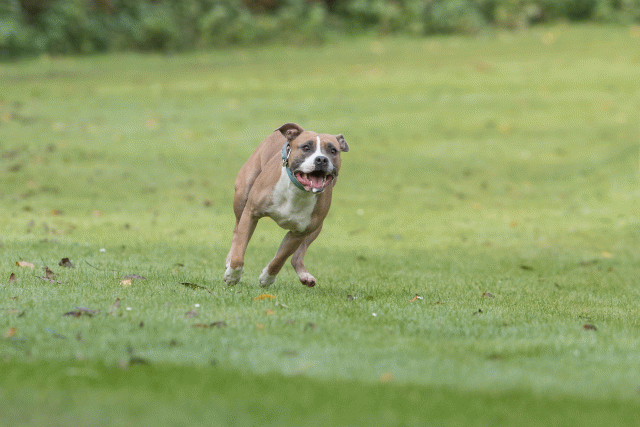 Bo4I7608 30540323846 O