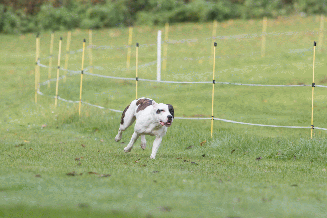 Bo4I7599 30540325346 O