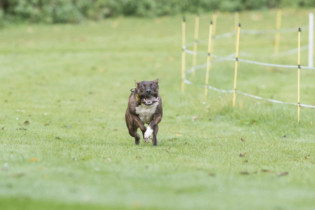 Bo4I7588 30540326166 O