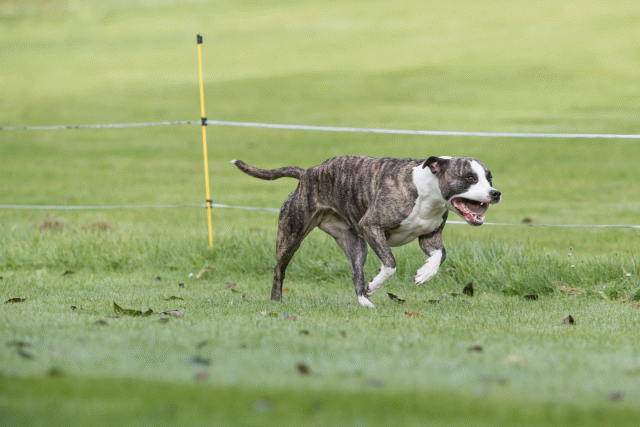 Bo4I7575 30540328436 O