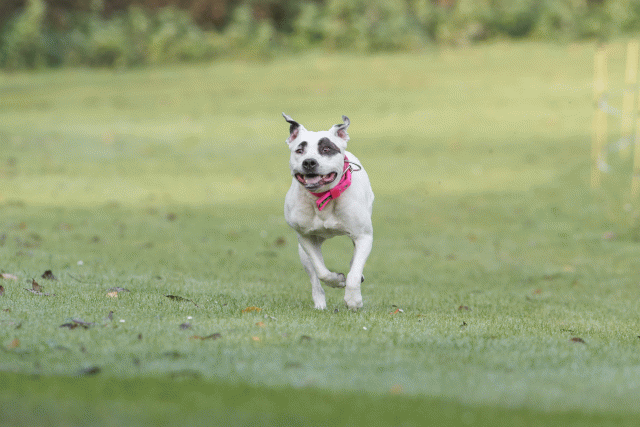 Bo4I7539 30540332186 O