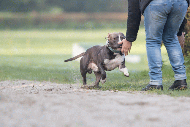 Bo4I7525 30540335156 O