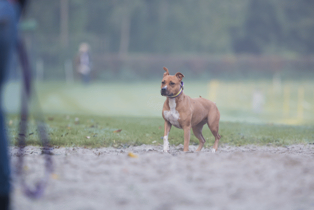 Bo4I7405 30540340256 O