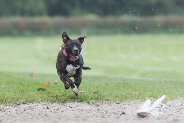 Bo4I7721 30566235845 O