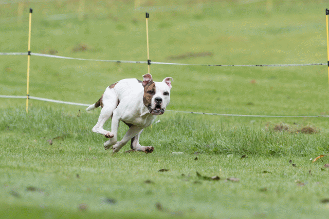 Bo4I7662 30566250425 O