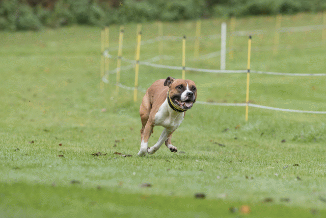 Bo4I7640 30566256625 O