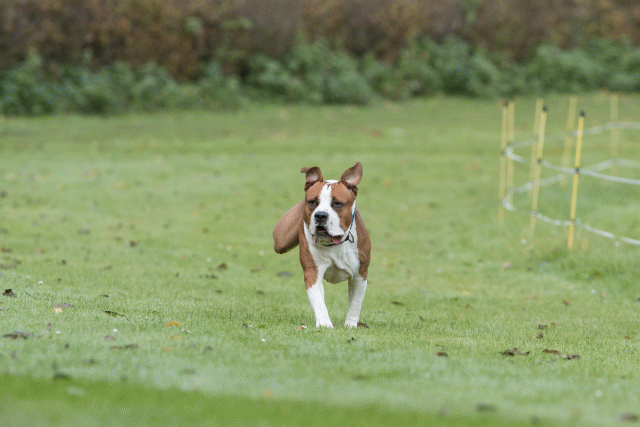 Bo4I7629 30576495305 O