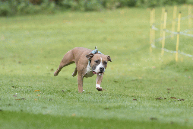 Bo4I7609 30576497245 O