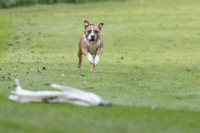 Bo4I7607 30576497415 O