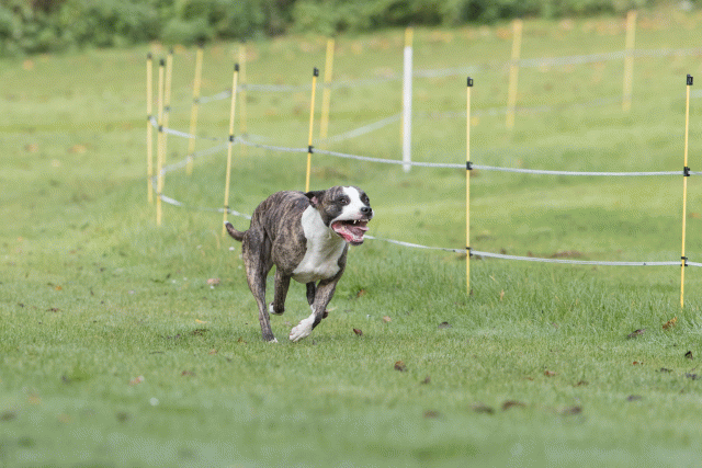 Bo4I7570 30576499695 O