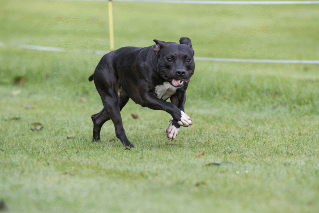 Bo4I7566 30576500255 O