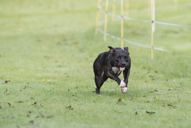 Bo4I7563 30576500425 O