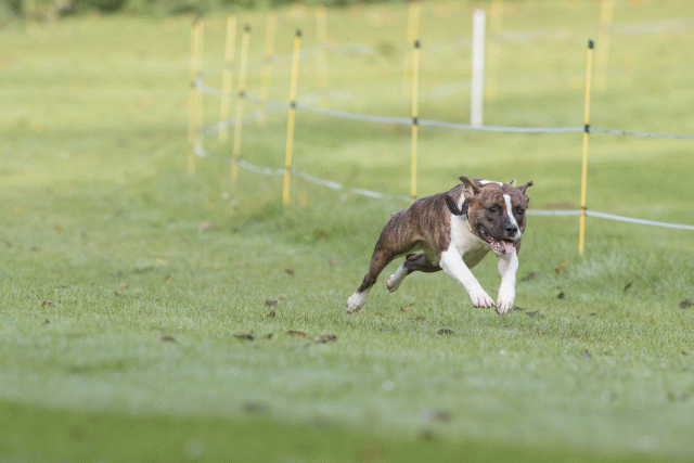 Bo4I7551 30576500985 O