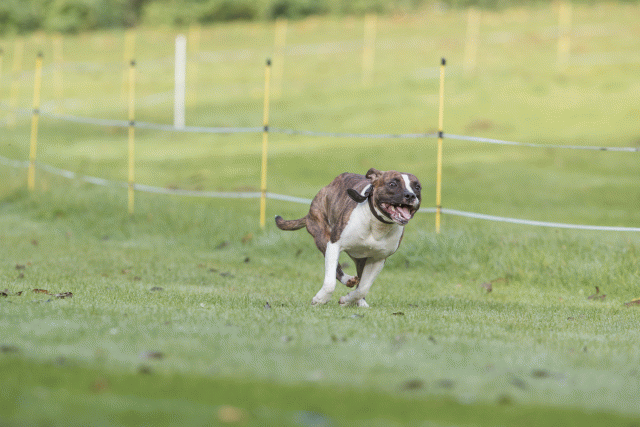 Bo4I7552 30576501575 O