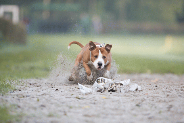 Bo4I7481 30576505455 O