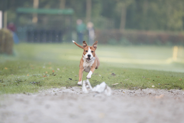 Bo4I7476 30576506245 O