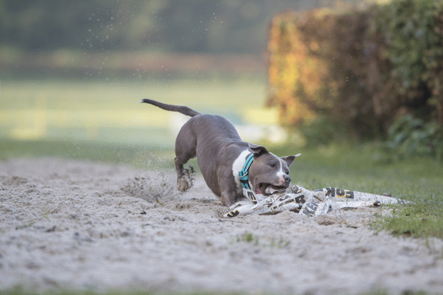 Bo4I7447 30576511205 O