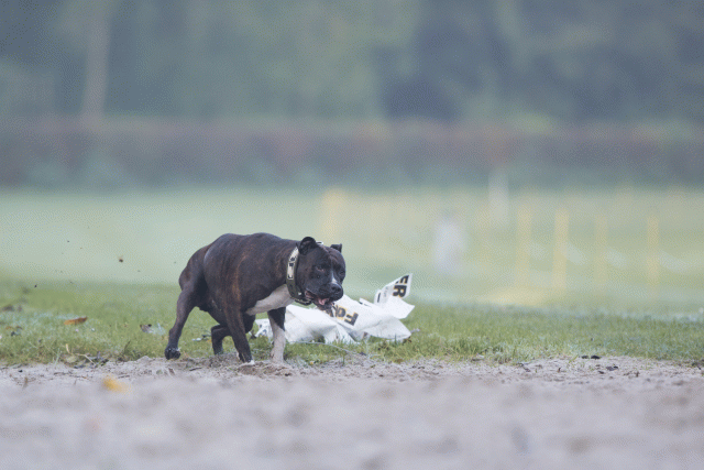 Bo4I7350 30576519535 O