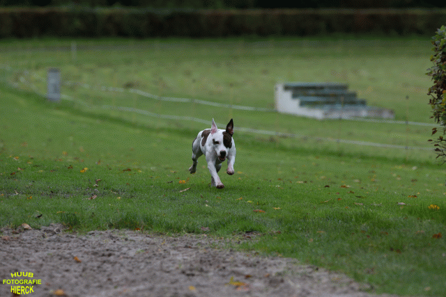 Ct3Q8799 24035232768 O