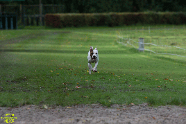 Ct3Q8797 24035233428 O