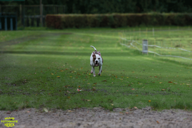 Ct3Q8796 24035235528 O