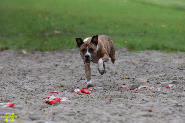 Ct3Q8792 24035236068 O