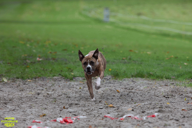 Ct3Q8788 24035236408 O