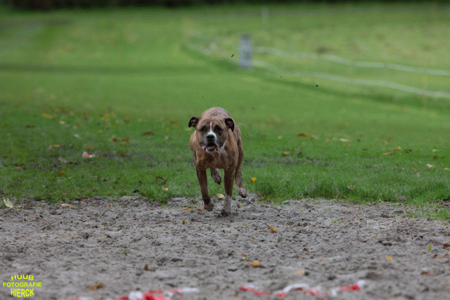 Ct3Q8785 24035236738 O