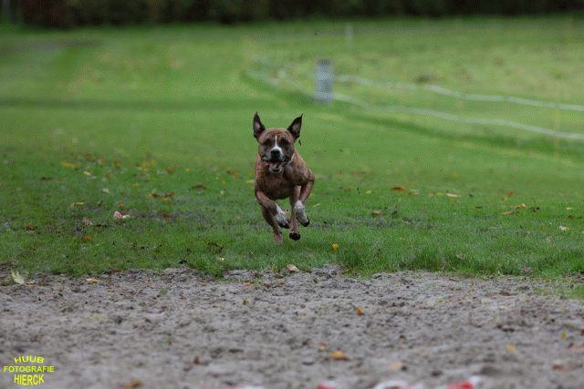 Ct3Q8782 24035237158 O