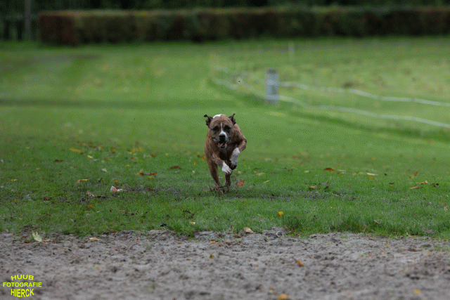 Ct3Q8778 24035237638 O