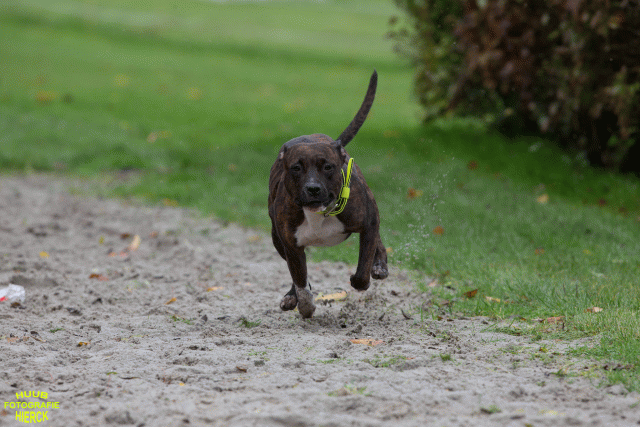 Ct3Q8762 24035239658 O