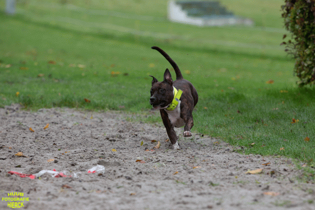 Ct3Q8758 24035240118 O